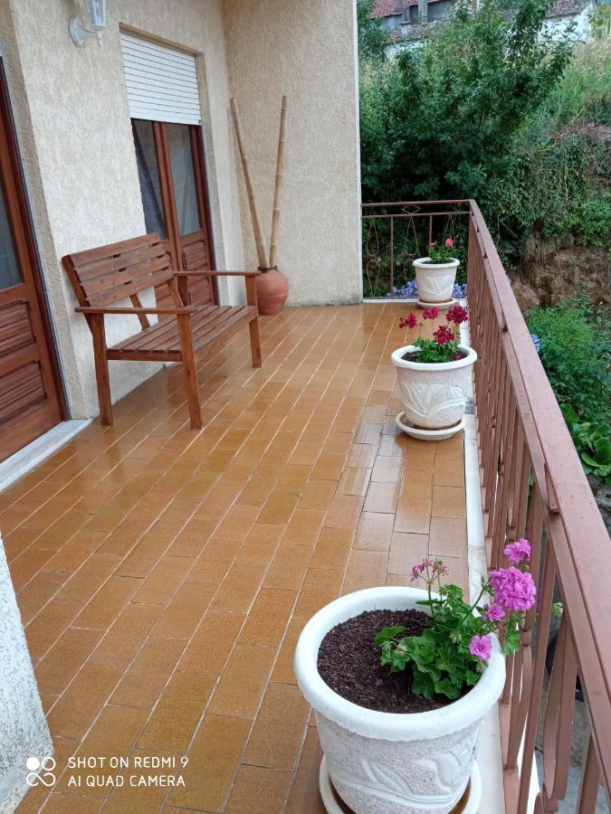 Casa Dos Grilos Penacova Kültér fotó