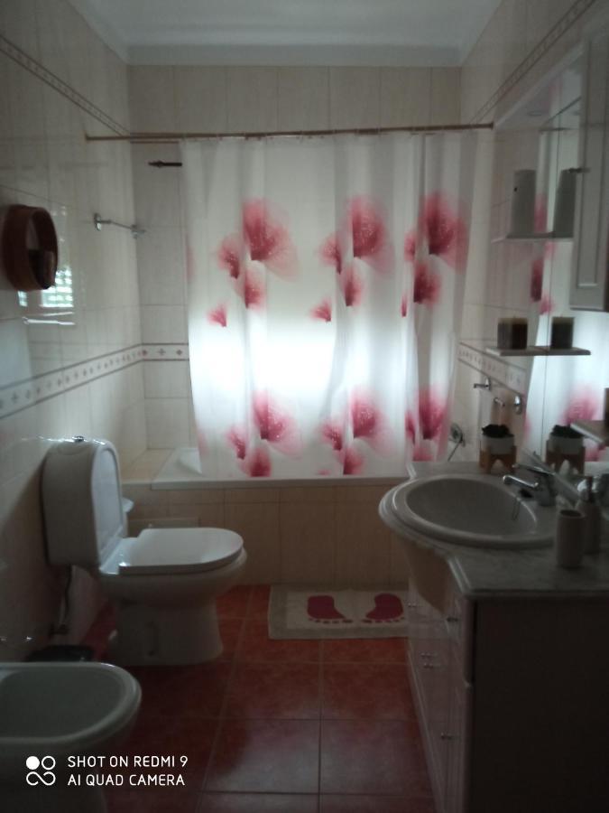 Casa Dos Grilos Penacova Kültér fotó