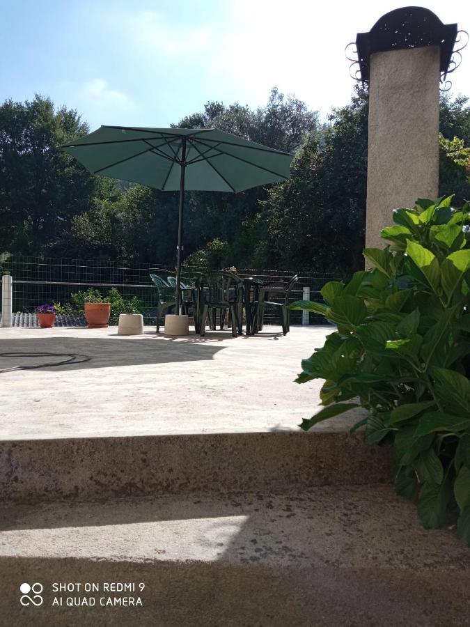 Casa Dos Grilos Penacova Kültér fotó