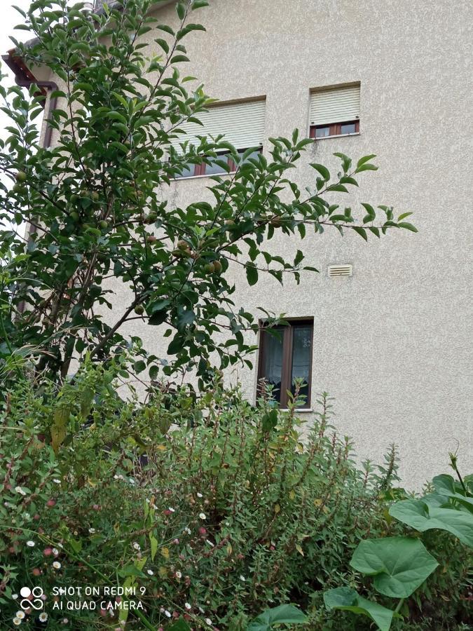 Casa Dos Grilos Penacova Kültér fotó