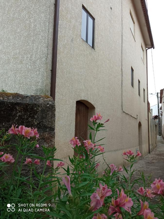Casa Dos Grilos Penacova Kültér fotó