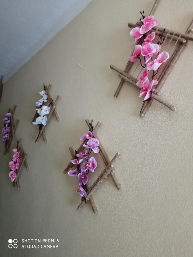 Casa Dos Grilos Penacova Kültér fotó