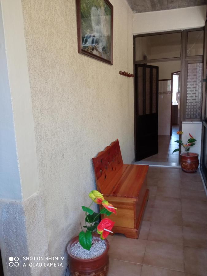 Casa Dos Grilos Penacova Kültér fotó